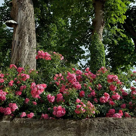 Orologio Locanda Cormòns