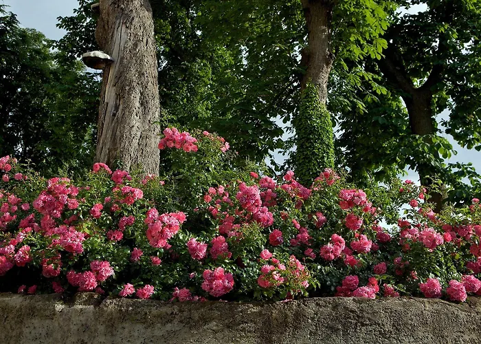 Orologio Πανδοχείο Cormòns