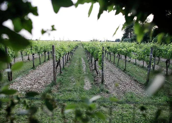 Orologio Πανδοχείο Cormòns